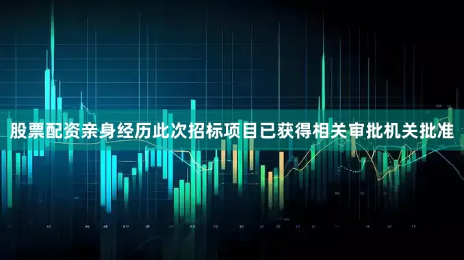 股票配资亲身经历此次招标项目已获得相关审批机关批准