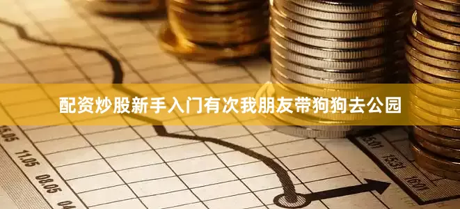配资炒股新手入门有次我朋友带狗狗去公园