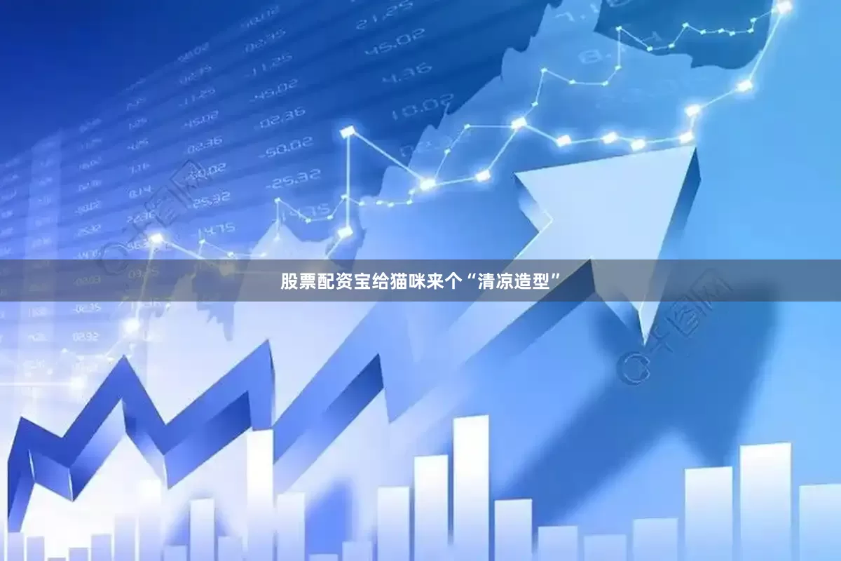 股票配资宝给猫咪来个“清凉造型”