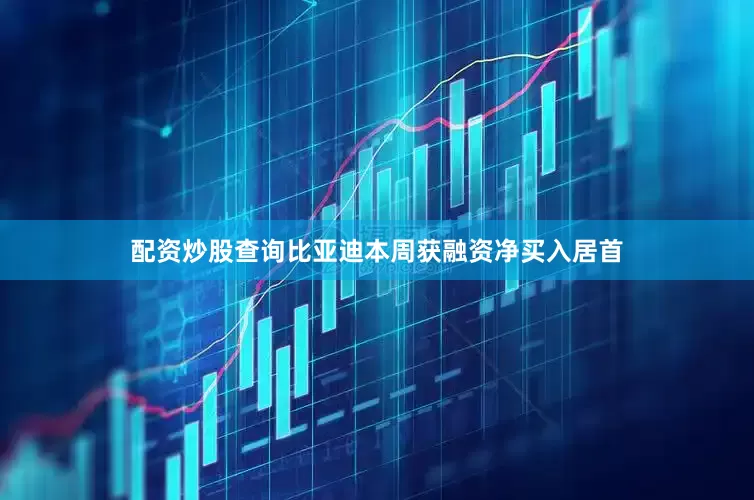 配资炒股查询比亚迪本周获融资净买入居首