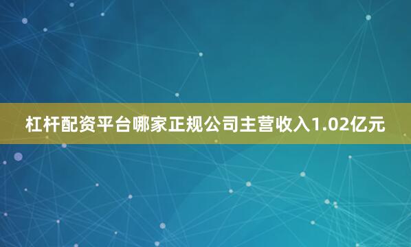 杠杆配资平台哪家正规公司主营收入1.02亿元