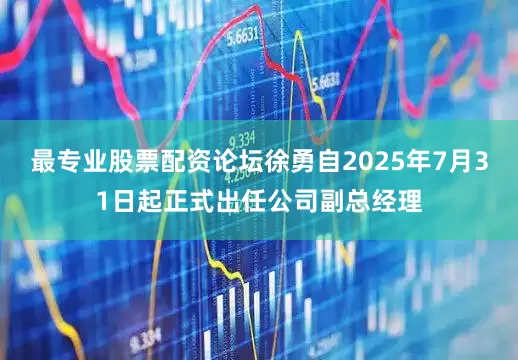 最专业股票配资论坛徐勇自2025年7月31日起正式出任公司副总经理